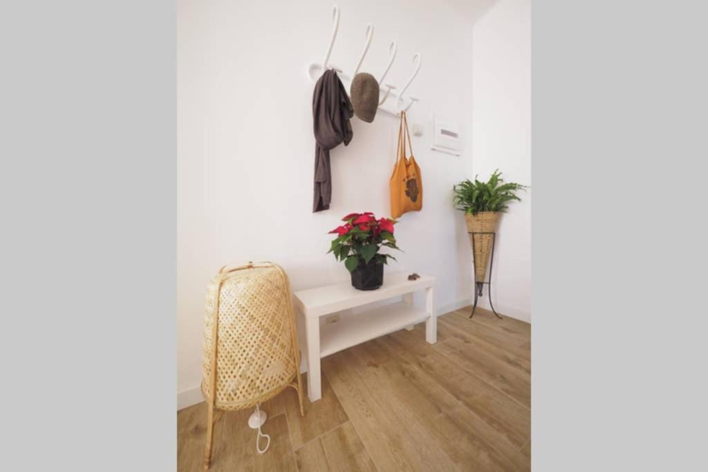 Apartaments Sa Calm Sant Miquel De Les Formigues Sant Hilari Sacalm Buitenkant foto